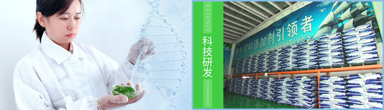 <a href=http://m.dlbspa.com>天津納爾生物科技有限公司</a>